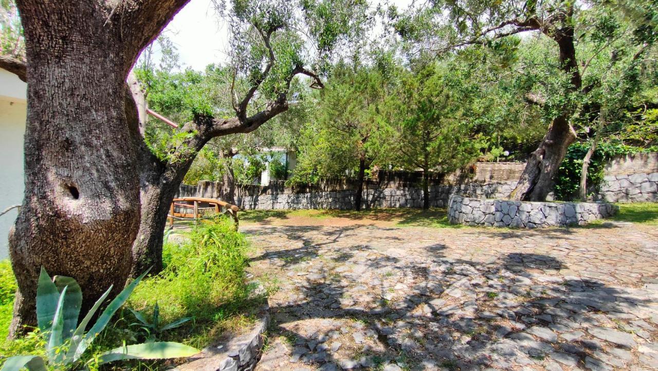 Villa Irma Marina di Camerota Luaran gambar
