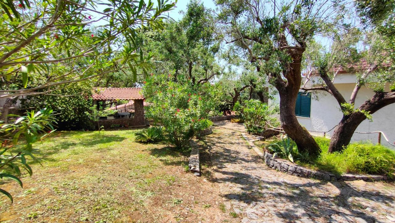 Villa Irma Marina di Camerota Luaran gambar