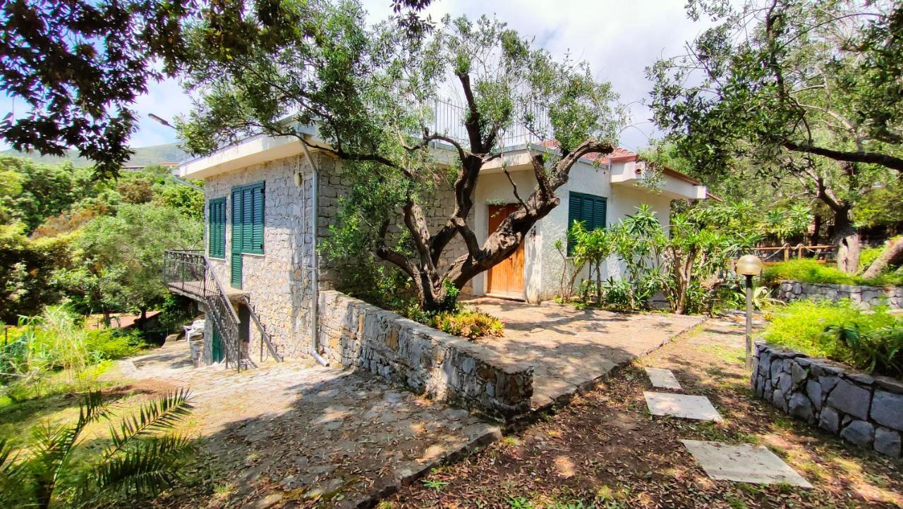 Villa Irma Marina di Camerota Luaran gambar